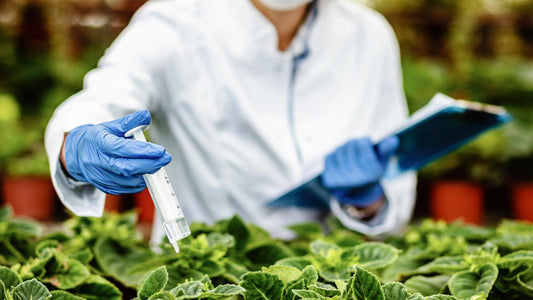 How Silicone Adjuvant for Agriculture Enhance Pesticide and Fertilizer Efficiency